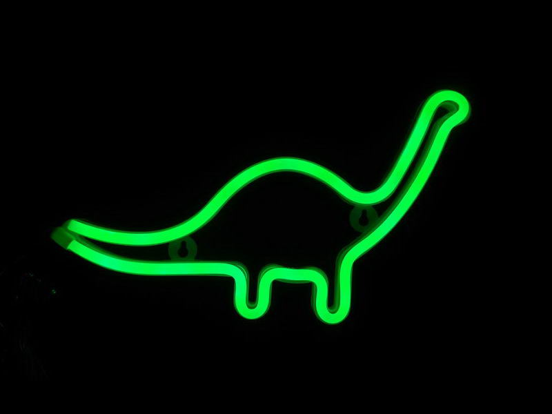 Decorative Hanging Dinosaur, neon rope